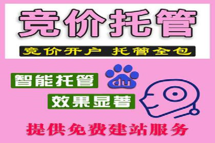 提升SEM效果：优化技巧与案例分享